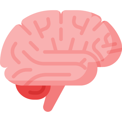 Brain & Nerve Care icon