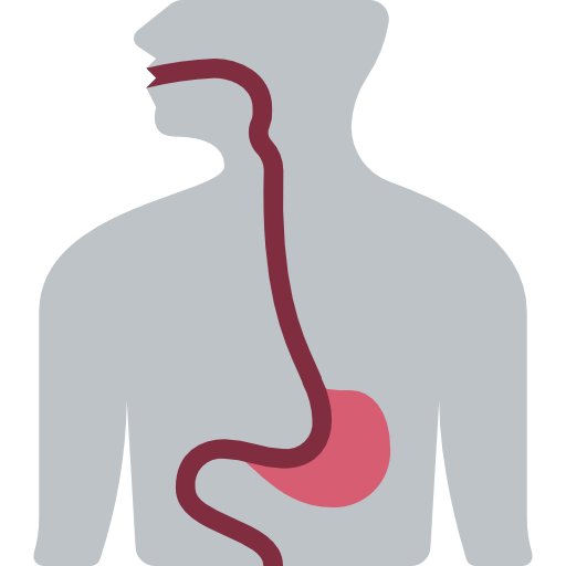 Digestive Care icon