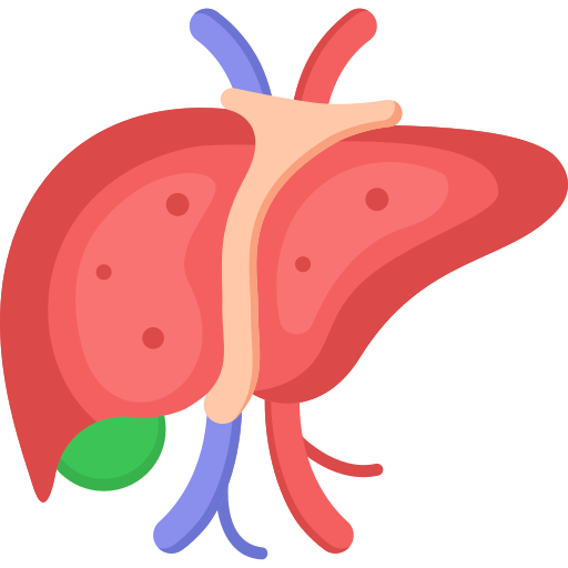 Liver Care icon